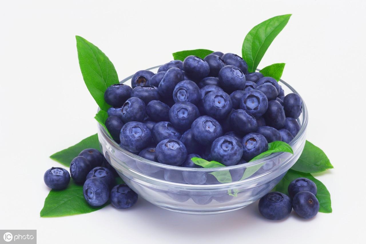 蓝莓的英文(蓝莓的英文复数)